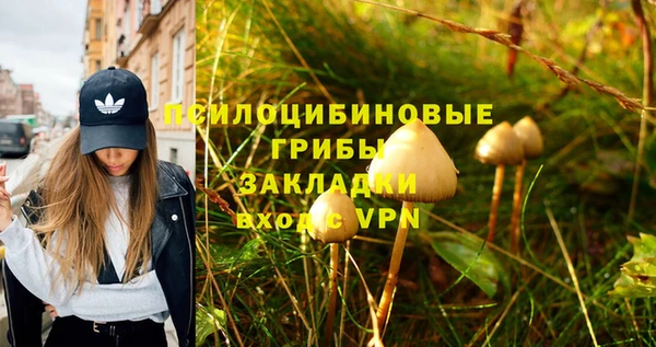 трава Богородицк