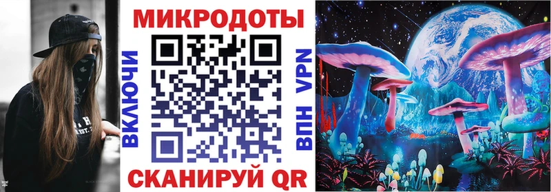 купить наркотик  Бийск  Галлюциногенные грибы Cubensis 